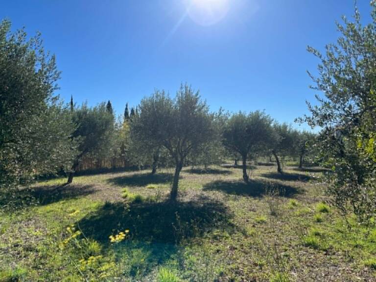 Terrain à construire  1200 m² — photo 1