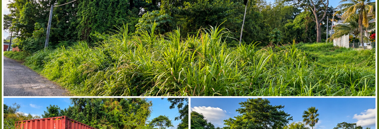 Terrain  2370 m² à vendre à Le François (97240)