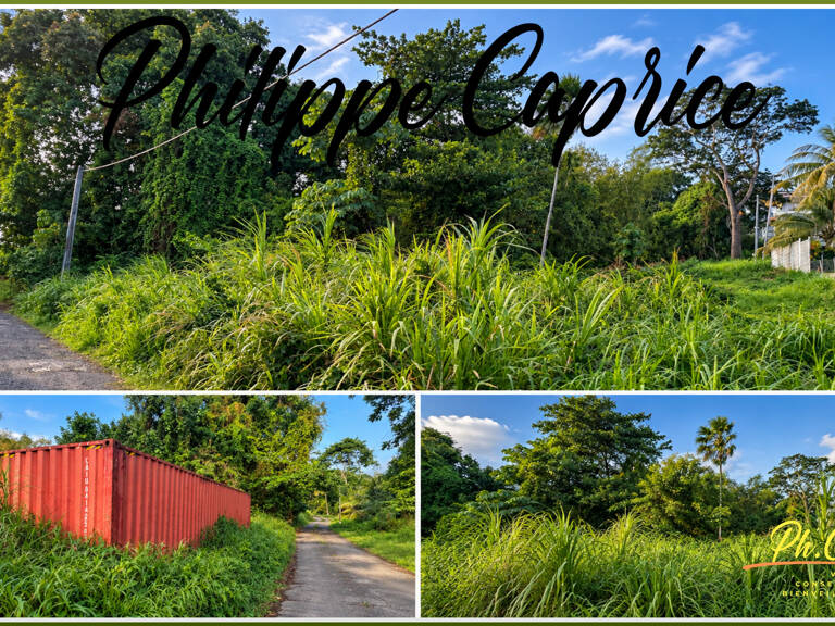 Terrain 2 370 m² – Dumaine – Le François – Zone U5 — photo 1