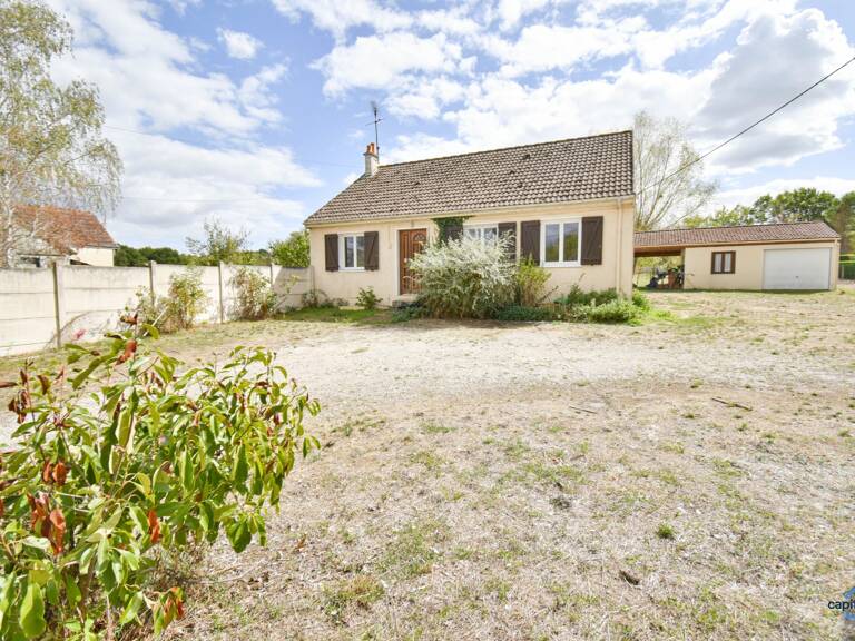 Maison à vendre 3 pièces MEUSNES (41) — photo 1