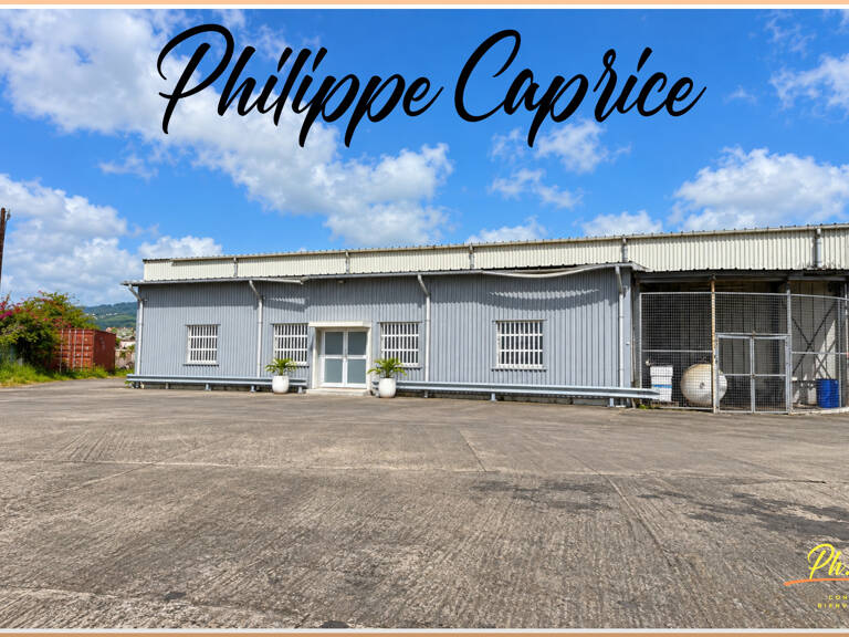 À louer – Entrepôt 917 m² + bureaux 160 m² – Le Lamentin (972) — photo 1
