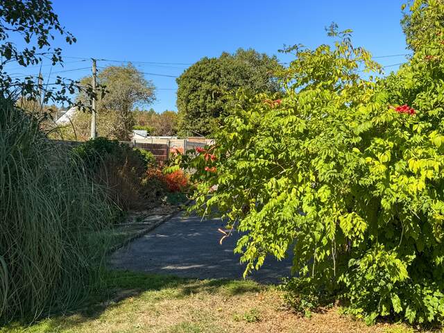 MISSILLAC - MAISON DE CARACTERE AUX VOLUMES GENEREUX - 4 A 5 CHAMBRES - GRAND PARC - CLOS SANS VIS A VIS - GARAGE DOUBLE - ATELIERS — photo du bien