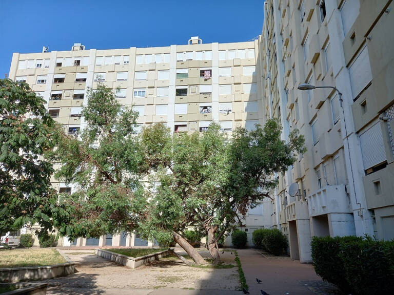 T5 - AVIGNON - CHAMPFLEURY D — photo 1