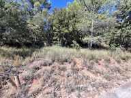 Terrain constructible à Moissac Bellevue — photo 2