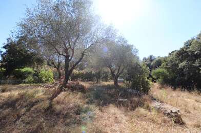Terrain  179000 €