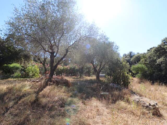 Terrain constructible Boisseron — photo du bien