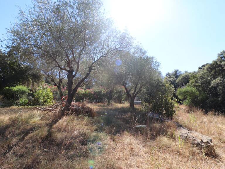 Terrain constructible Boisseron — photo 1