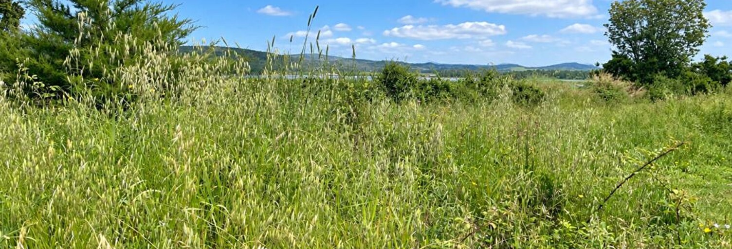 Terrain  1839 m² à vendre à Pietroso (20242)