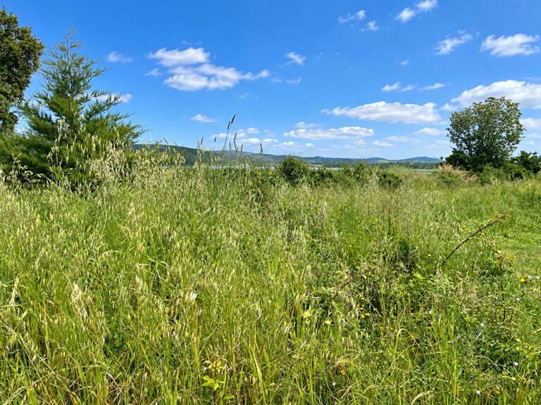 Terrain constructible 1839 m2, PIETROSO/ MAISON PIERAGGI- Permis de construire accordé — photo 1