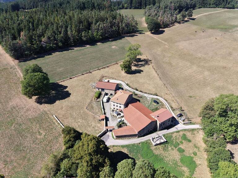 Maison Saint Didier En Velay 43140 propriété d'exception composée de deux habitations, nombreuses dépendances sur 9000m² de terrain — photo 1