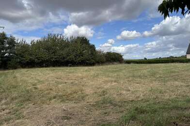 Terrain  55000 €
