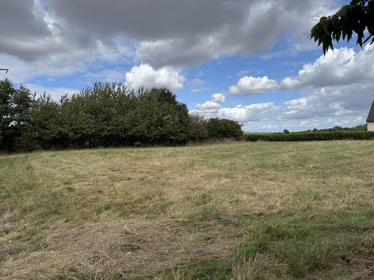 Terrain — photo 1