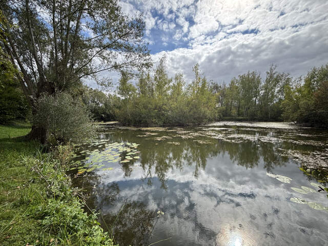 TERRAIN DE LOISIRS DE PLUS DE 3 HECTARES À ARGOEUVES — photo du bien