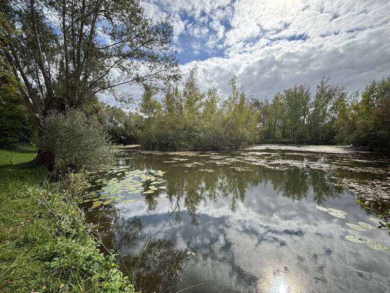 TERRAIN DE LOISIRS DE PLUS DE 3 HECTARES À ARGOEUVES — photo 1