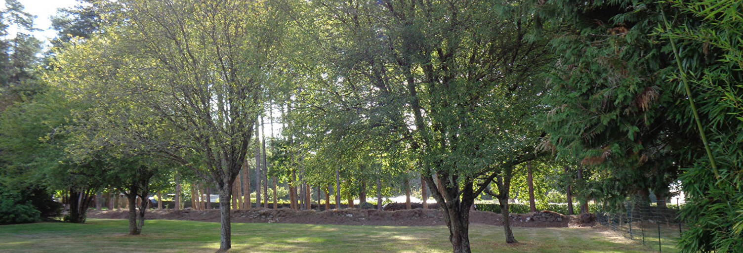 Terrain  400 m² à vendre à Plumelec (56420)
