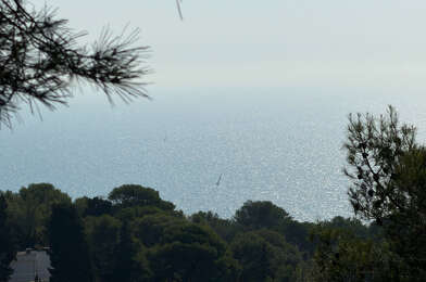 Terrain  534000 €