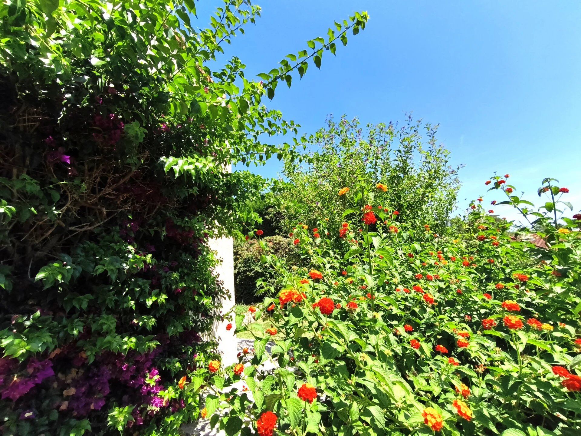 Photo Maison de 6 pièces La Colle-sur-Loup