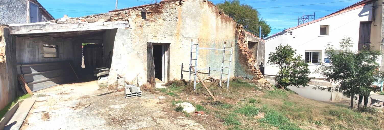 Photo N° 2