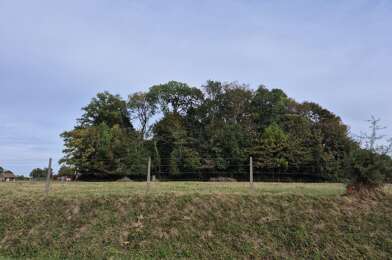 Terrain  54000 €