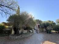 Villa PLAIN PIED BELLE PARCELLE PISCINE — photo 2