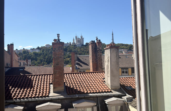 Appartement entièrement rénové en Presqu'île avec vue except — photo 4