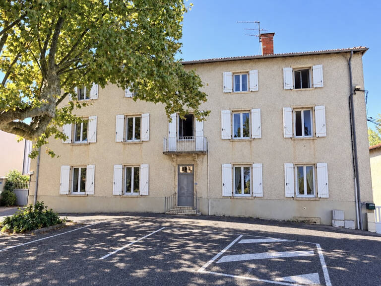 IMMEUBLE 400M2 QUINCIEUX — photo 1