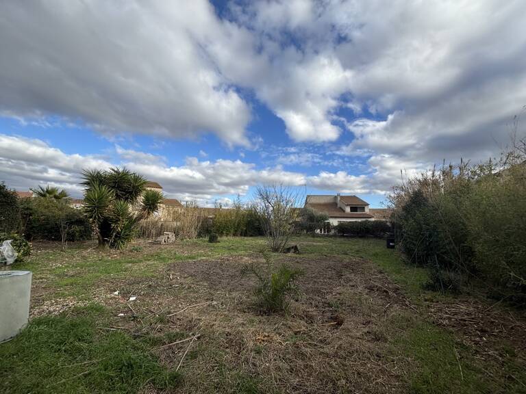 Terrain — photo 1