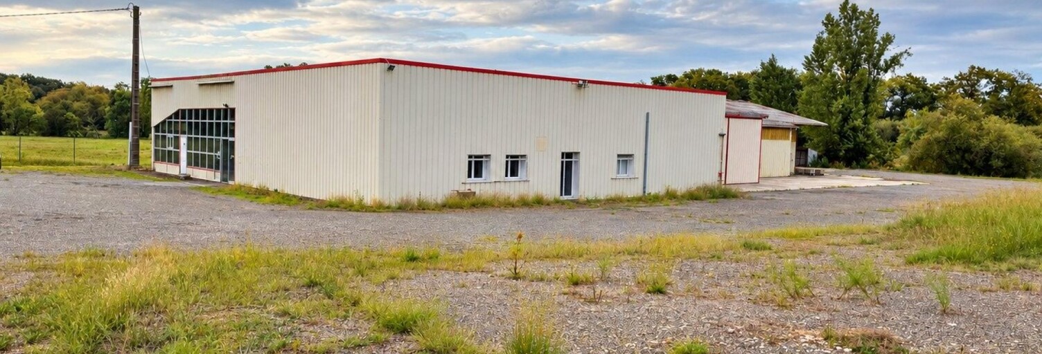 Commerce 8 Pièces 1100 m² à vendre à Lanne-Soubiran (32110)