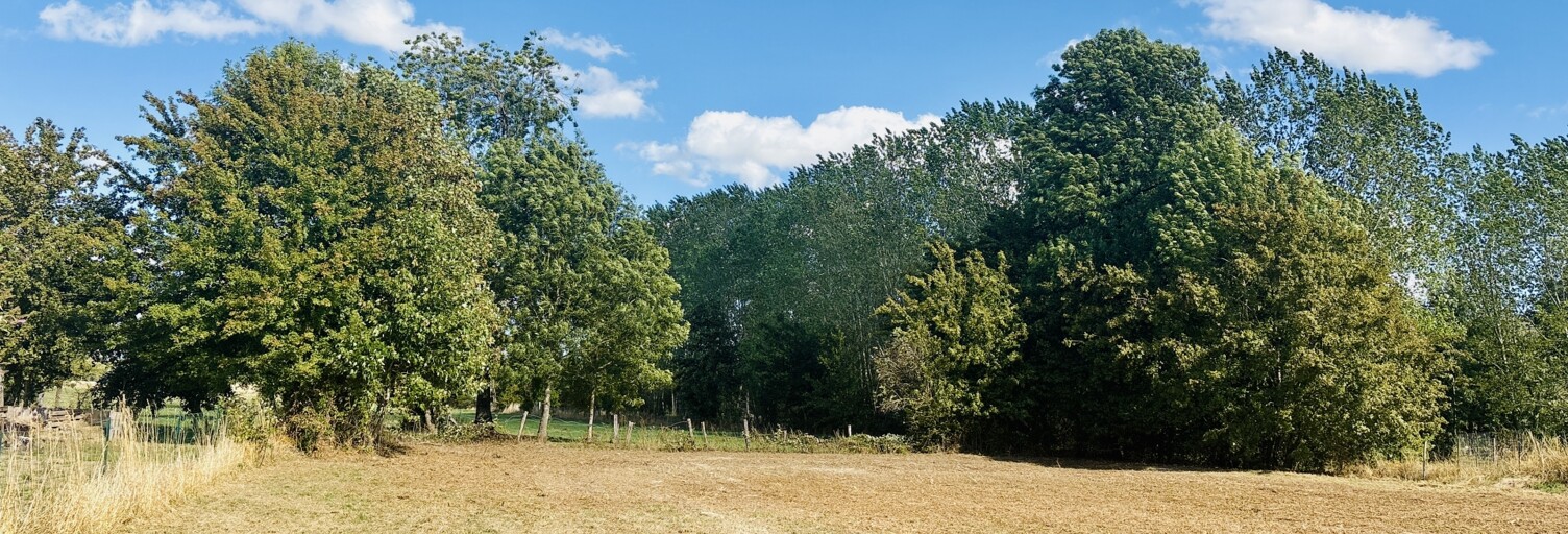 Terrain  2047 m² à vendre à Saint-Amand-sur-Fion (51300)