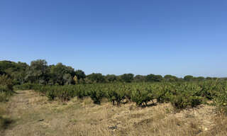 Terrain  17310 m² à vendre à Souvignargues (30250)