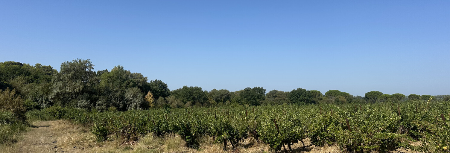 Terrain  17310 m² à vendre à Souvignargues (30250)