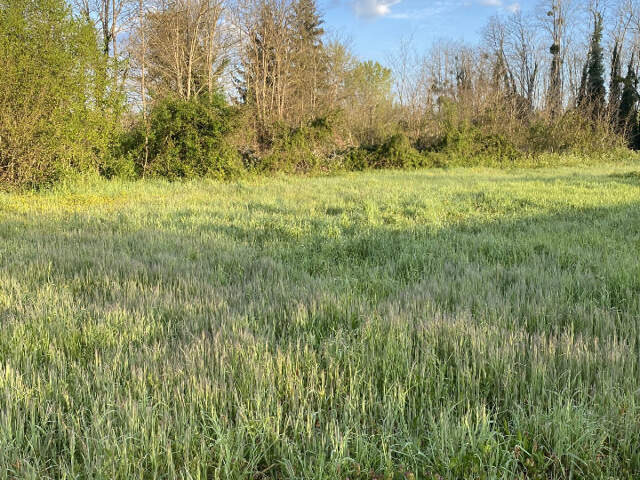 Terrain à bâtir à Landiras (33720) — photo du bien