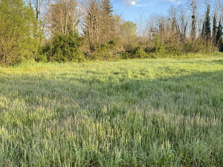 Terrain à bâtir à Landiras (33720) — photo 1