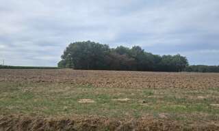 Terrain  2530 m² à vendre à Saint-Savin (33920)