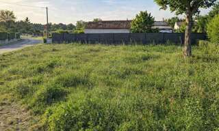 Terrain  600 m² à vendre à Peujard (33240)