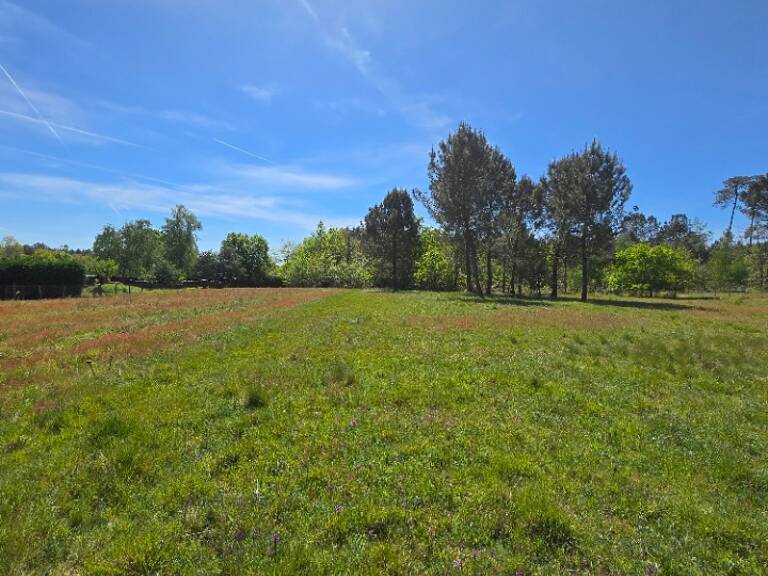 Terrain à bâtir à Saint-Savin (33920) — photo 1