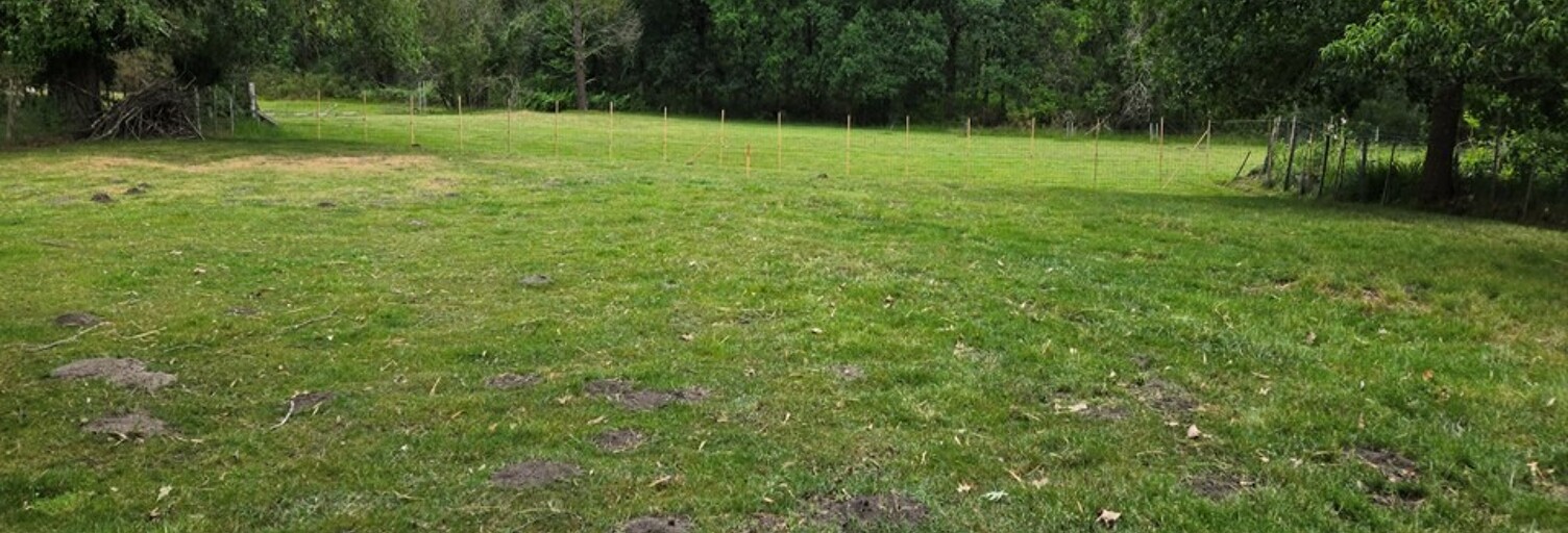 Terrain  770 m² à vendre à Saint-Mariens (33620)