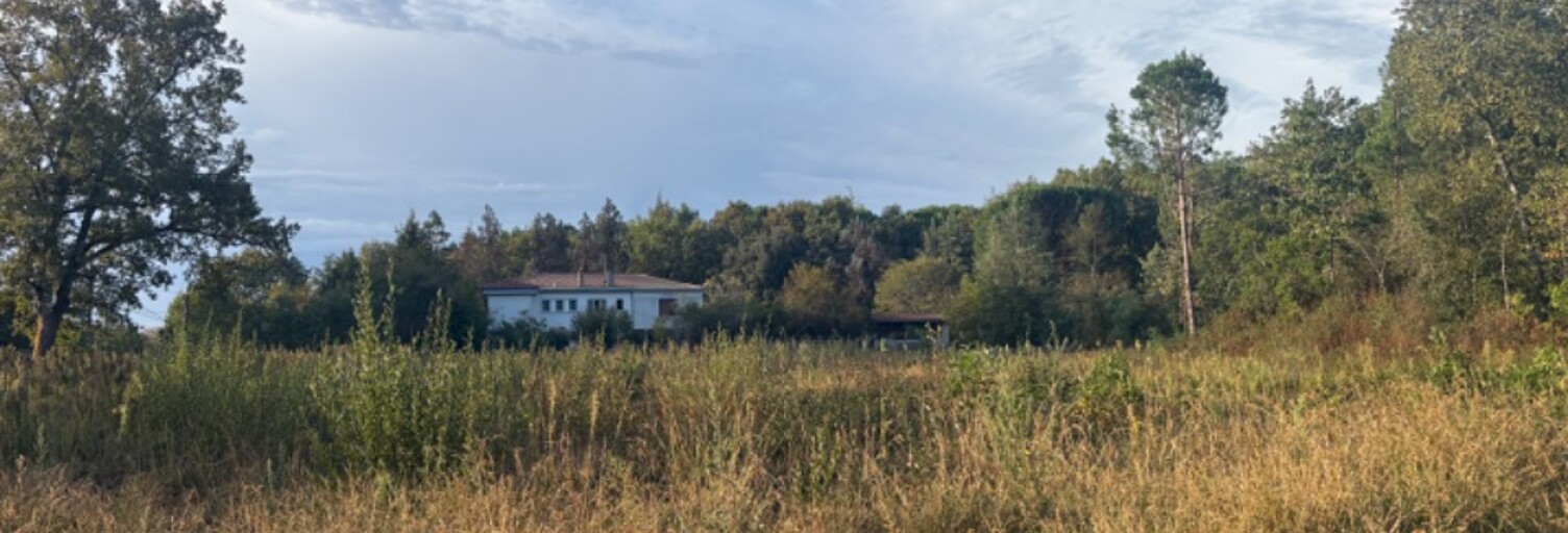 Terrain  852 m² à vendre à La Brède (33650)