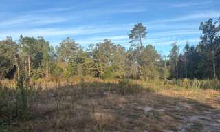 Terrain  423 m² à vendre à Martillac (33650)