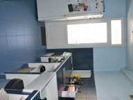T4 — photo 4