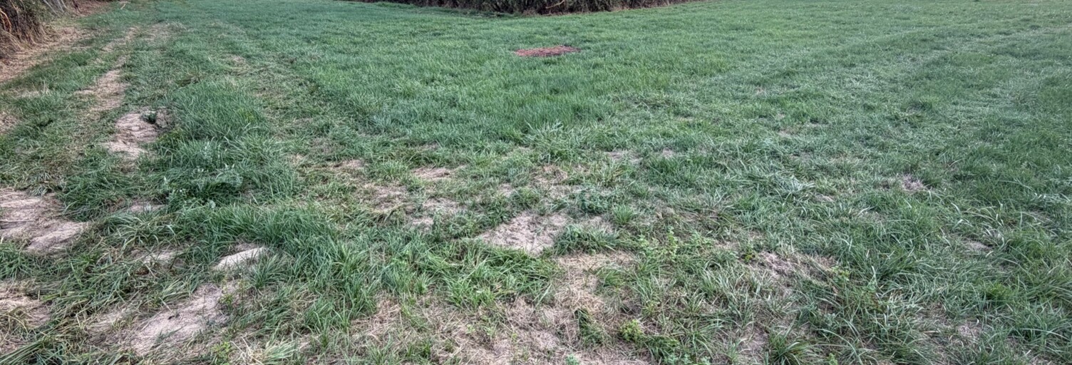 Terrain  2000 m² à vendre à Clessy (71130)