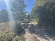 Panoramik — photo 4