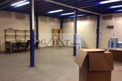 Local industriel  3550 €