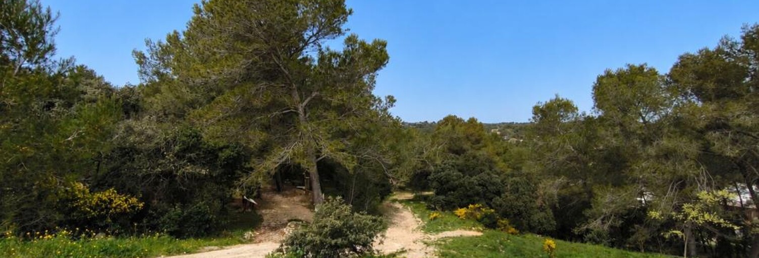 Terrain  7200 m² à vendre à Nîmes (30900)