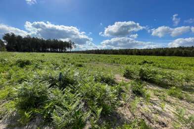 Terrain  130000 €