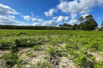 Terrain  150000 €