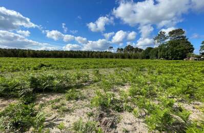Terrain À Vendre — photo du bien
