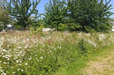 Terrain  365000 €