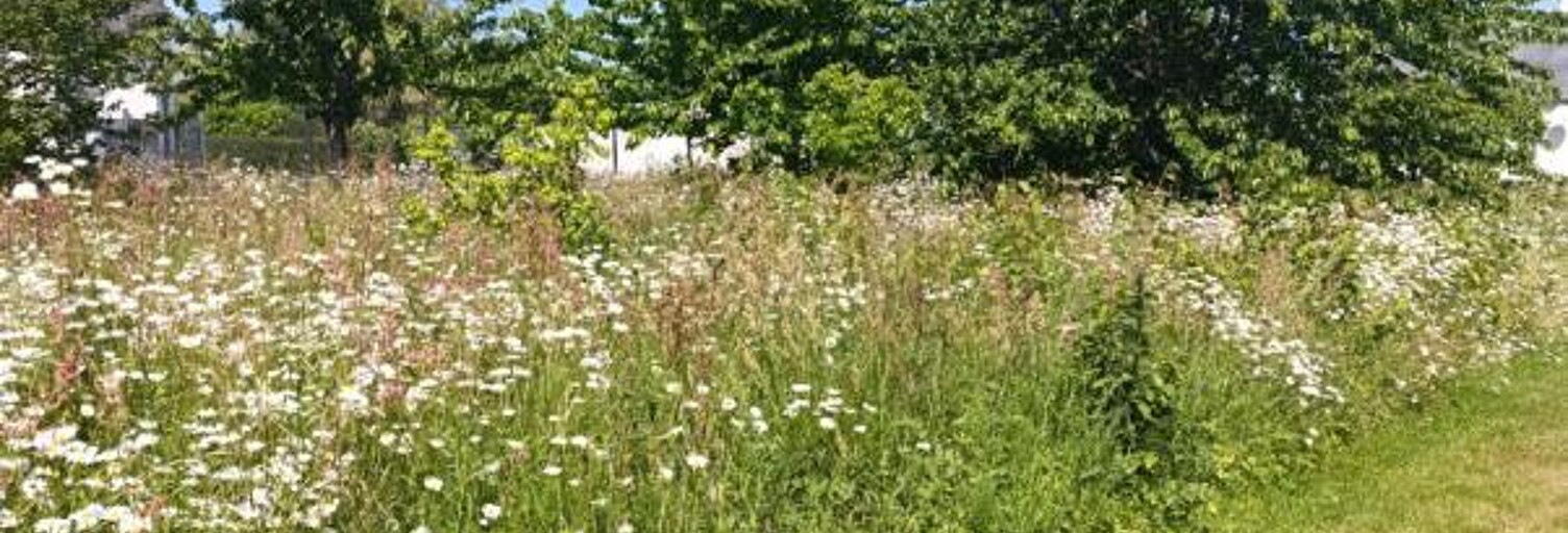 Terrain  829 m² à vendre à Pléneuf-Val-André (22370)