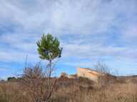 4,5 hectares de terre agricole avec  Grange de 95m2 à REHABILITER sur le terrain — photo 2